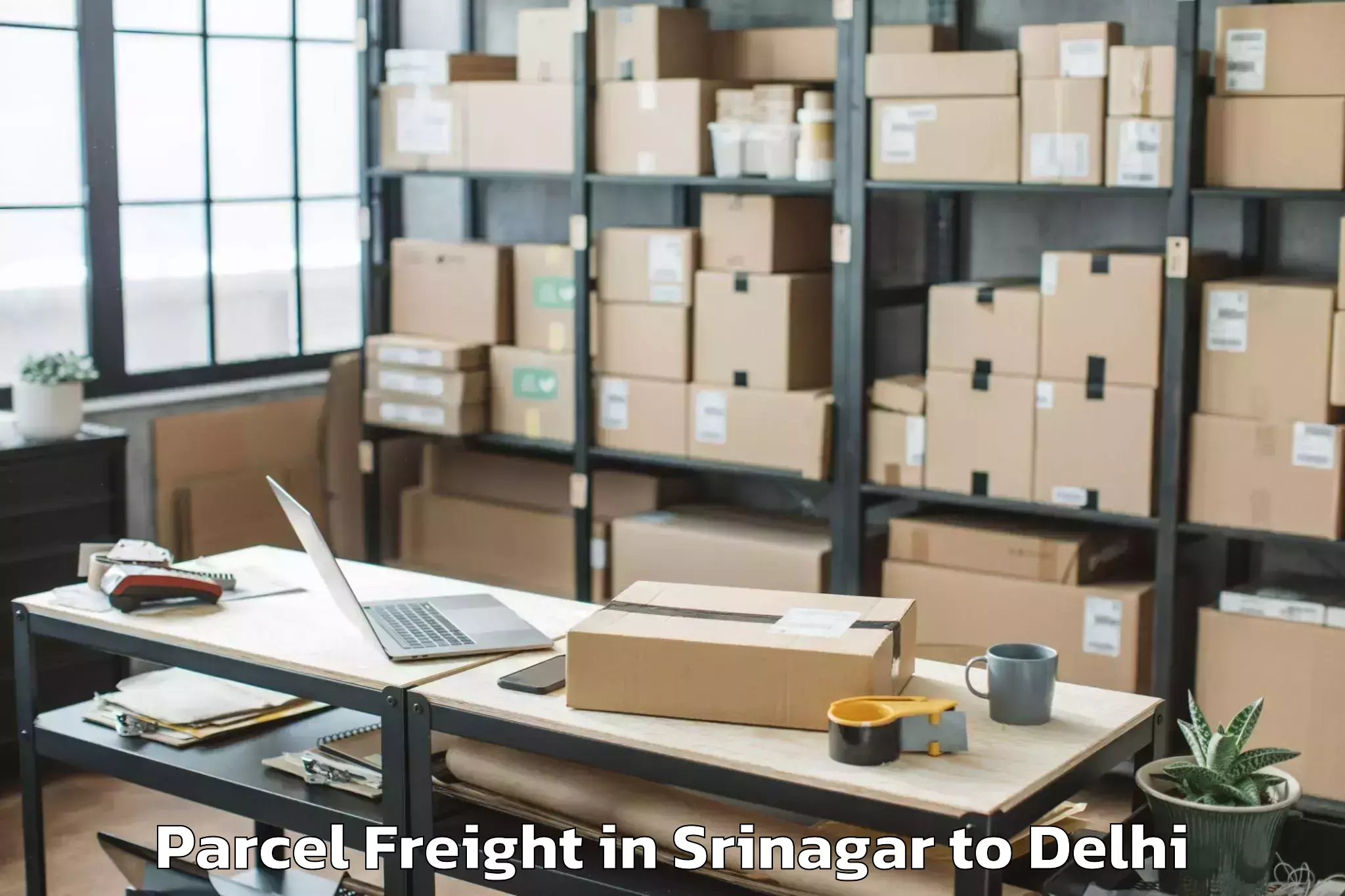 Leading Srinagar to Naraina Industrial Estate Parcel Freight Provider